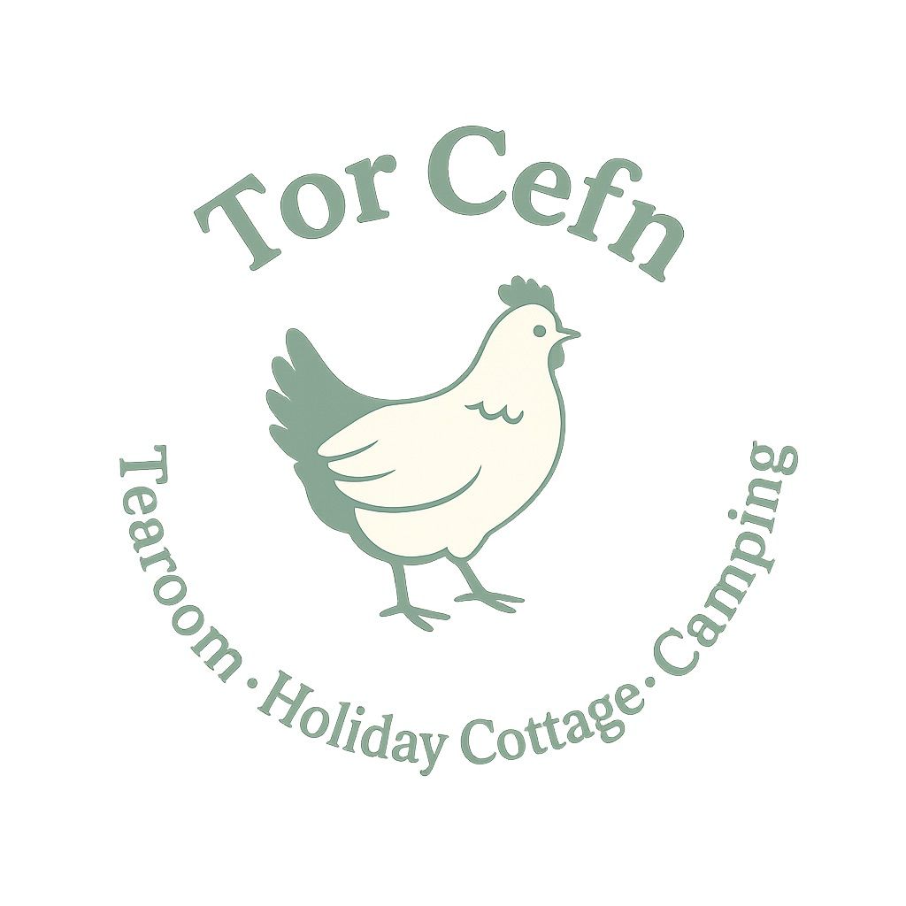 torcefn.co.uk